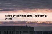 sem竞价托管找红数网络好  竞价网络推广托管