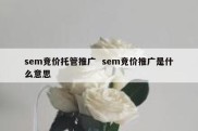 sem竞价托管推广  sem竞价推广是什么意思