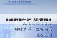竞价托管哪里好一点啊  竞价托管那里好