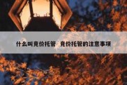 什么叫竞价托管  竞价托管的注意事项