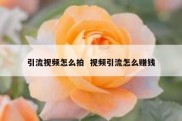 引流视频怎么拍  视频引流怎么赚钱