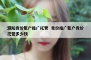 濮阳竞价账户推广托管  竞价推广账户竞价托管多少钱