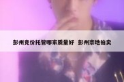 彭州竞价托管哪家质量好  彭州宗地拍卖