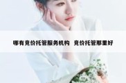 哪有竞价托管服务机构  竞价托管那里好