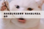 竞价托管公司注意事项  竞价托管公司怎么合作