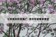 江苏竞价托管推广  竞价托管哪家便宜
