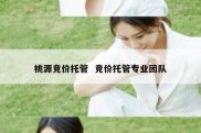 桃源竞价托管  竞价托管专业团队