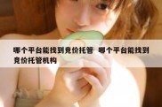 哪个平台能找到竞价托管  哪个平台能找到竞价托管机构