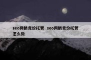 seo网销竞价托管  seo网销竞价托管怎么做