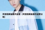 河池招商加盟代运营（河池招商加盟代运营公司）