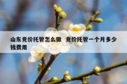山东竞价托管怎么做  竞价托管一个月多少钱费用