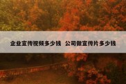 企业宣传视频多少钱  公司做宣传片多少钱