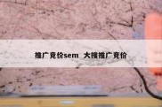 推广竞价sem  大搜推广竞价