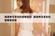 湘潭神马竞价托管哪家好  湘潭神马竞价托管哪家好些
