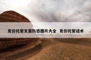 竞价托管文案伤感图片大全  竞价托管话术