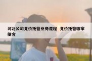 河北公司竞价托管业务流程  竞价托管哪家便宜