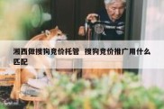 湘西做搜狗竞价托管  搜狗竞价推广用什么匹配