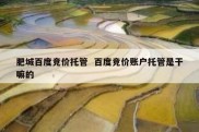 肥城百度竞价托管  百度竞价账户托管是干嘛的