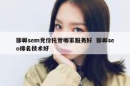 邯郸sem竞价托管哪家服务好  邯郸seo排名技术好