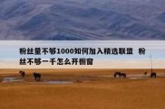 粉丝量不够1000如何加入精选联盟  粉丝不够一千怎么开橱窗
