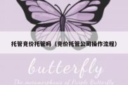 托管竞价托管吗（竞价托管公司操作流程）
