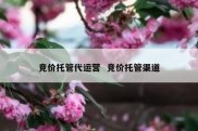 竞价托管代运营  竞价托管渠道