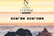 竞价推广那些  竞价推广的原理