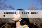 竞价托管项目是什么  竞价托管一般要多少钱
