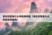 竞价托管有什么风险和风险（竞价托管有什么风险和风险吗）