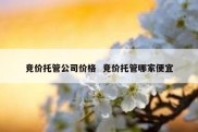 竞价托管公司价格  竞价托管哪家便宜