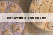竞价托管效果如何  竞价托管什么意思