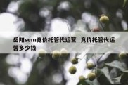岳阳sem竞价托管代运营  竞价托管代运营多少钱