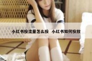 小红书投流量怎么投  小红书如何投放