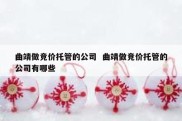 曲靖做竞价托管的公司  曲靖做竞价托管的公司有哪些