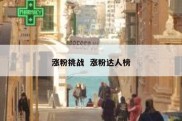 涨粉挑战  涨粉达人榜