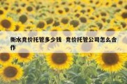 衡水竞价托管多少钱  竞价托管公司怎么合作