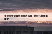 竞价托管文案伤感图片风景  竞价托管哪家便宜