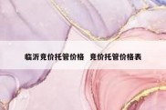 临沂竞价托管价格  竞价托管价格表
