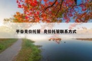 平谷竞价托管  竞价托管联系方式