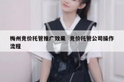 梅州竞价托管推广效果  竞价托管公司操作流程