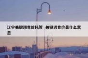辽宁关键词竞价托管  关键词竞价是什么意思