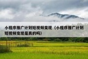 小程序推广计划短视频变现（小程序推广计划短视频变现是真的吗）