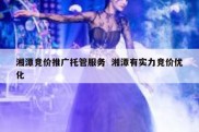 湘潭竞价推广托管服务  湘潭有实力竞价优化