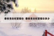 泰安竞价托管报价  泰安竞价托管报价多少