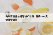 山东百度竞价托管推广软件  百度sem竞价托管公司