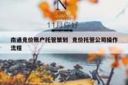 南通竞价账户托管策划  竞价托管公司操作流程