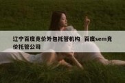 辽宁百度竞价外包托管机构  百度sem竞价托管公司