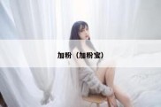 加粉（加粉宝）