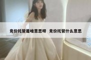 竞价托管是啥意思呀  竞价托管什么意思