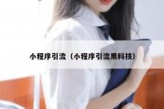 小程序引流（小程序引流黑科技）